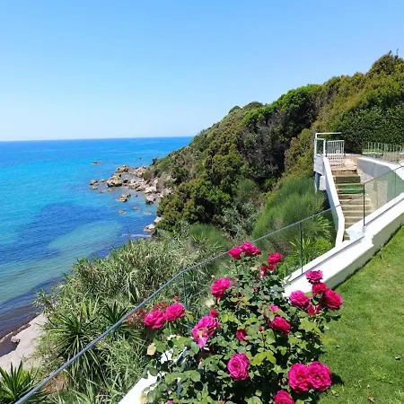 Seahorse Bay * Halikounas