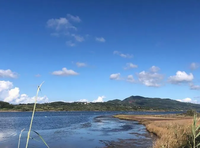 Seahorse Bay *