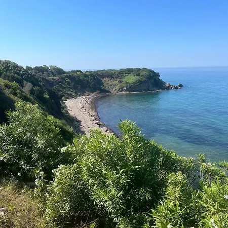 Seahorse Bay